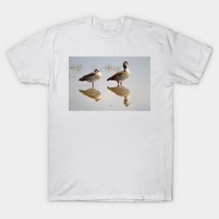 Egyptian Geese Reflections T-Shirt